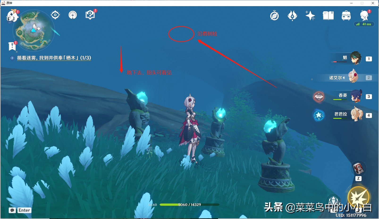 原神供奉栖木三个攻略大全（供奉栖木详细步骤）