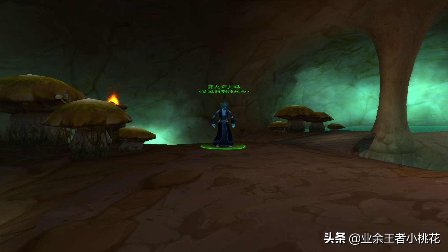魔兽世界孤魂岩洞地点介绍图(魔兽世界孤寂山岭任务触发条件)