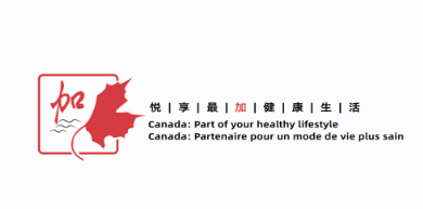 2021加拿大28官网顺利与中国游戏产业开展路演顺利举行